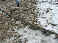 Starboard side remains, looking eastward.