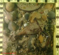 Cast iron foot of a stove in the bow section of the wreck in 2011.