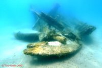 The wreck of the Solon Johnson viewed from the stern with rudder and rudder post prominently displayed.