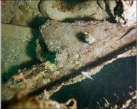 Photo of the rail clamp on the Car Ferry #2.