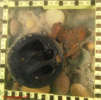 A deadeye in the bow section of the wreck in 2011, now forever lost.